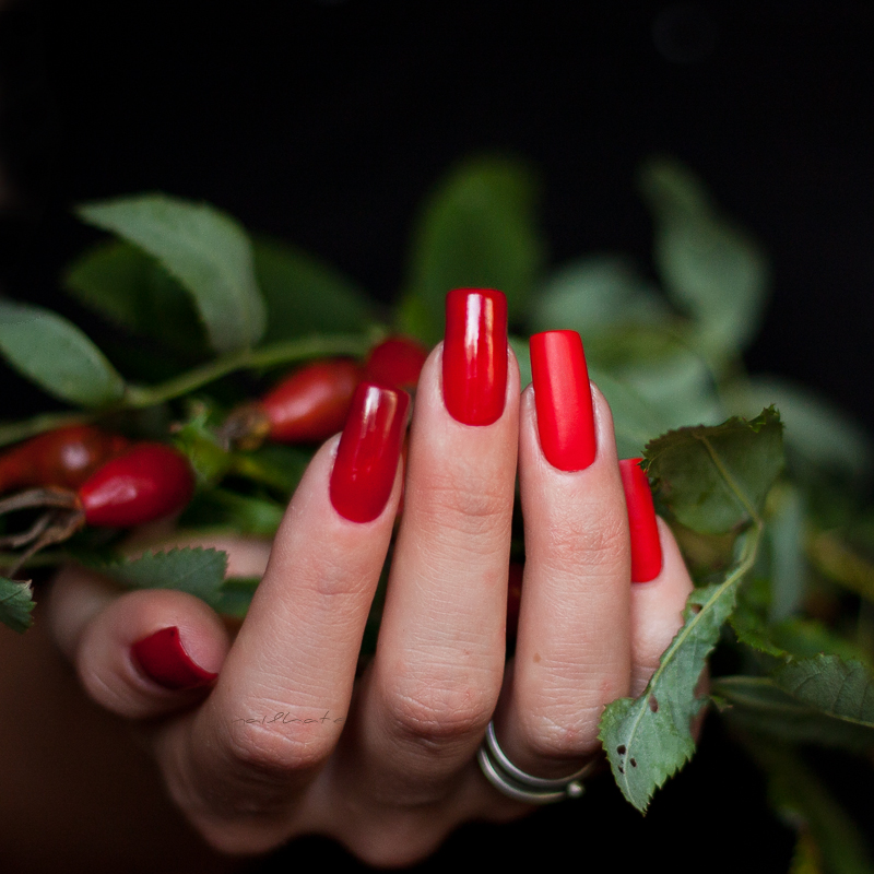 El Corazon Express effect 64