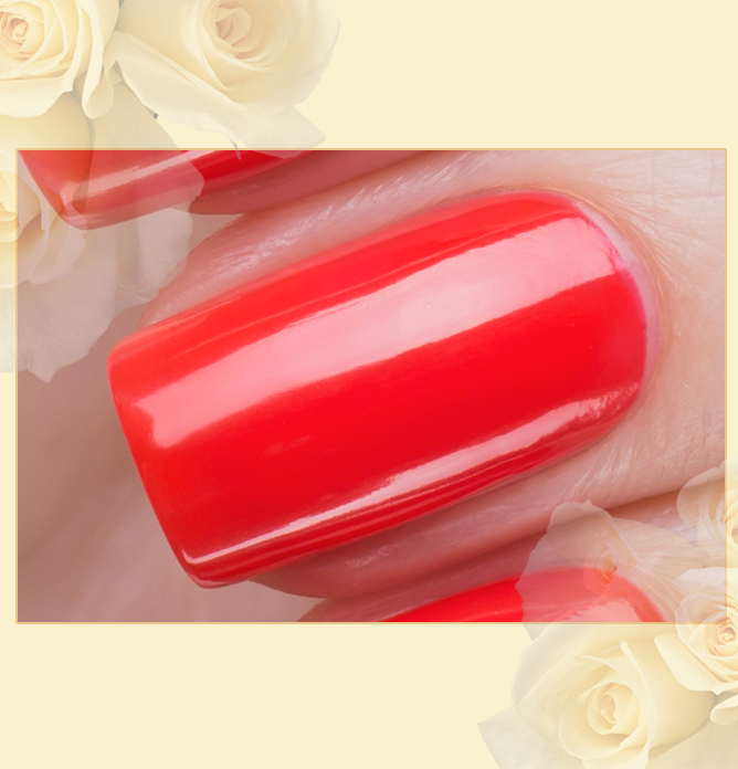 EL Corazon Charm and beauty 859