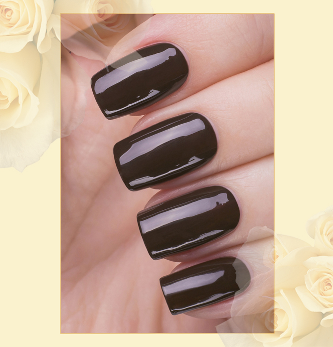 EL Corazon Charm and beauty 877