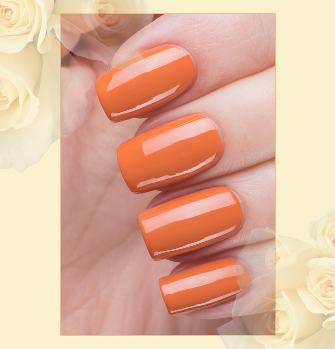 EL Corazon Charm and beauty 899