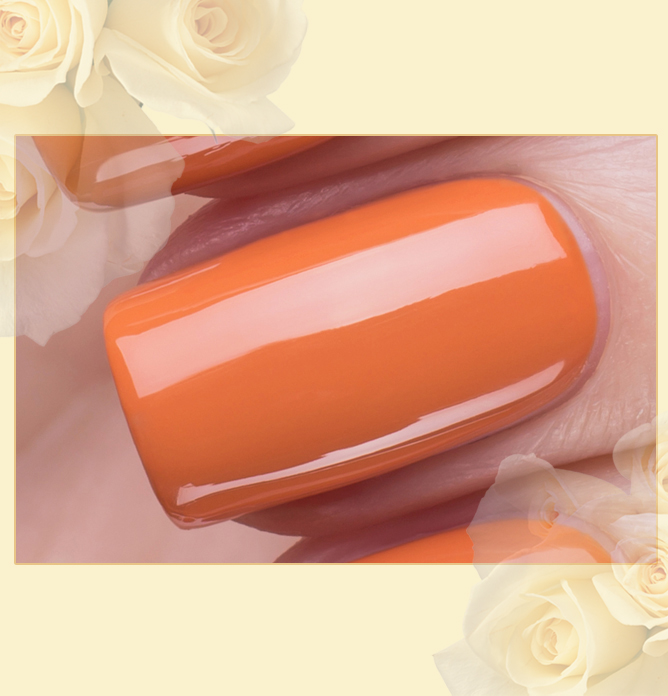 EL Corazon Charm and beauty 899